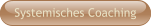 Systemisches Coaching